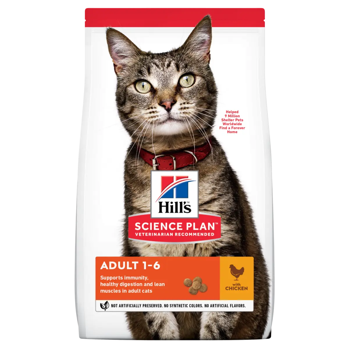 Hill’s Science Plan Adult Dry Cat Food – chicken recipe for healthy adult cats