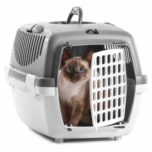 Pets Unleashed